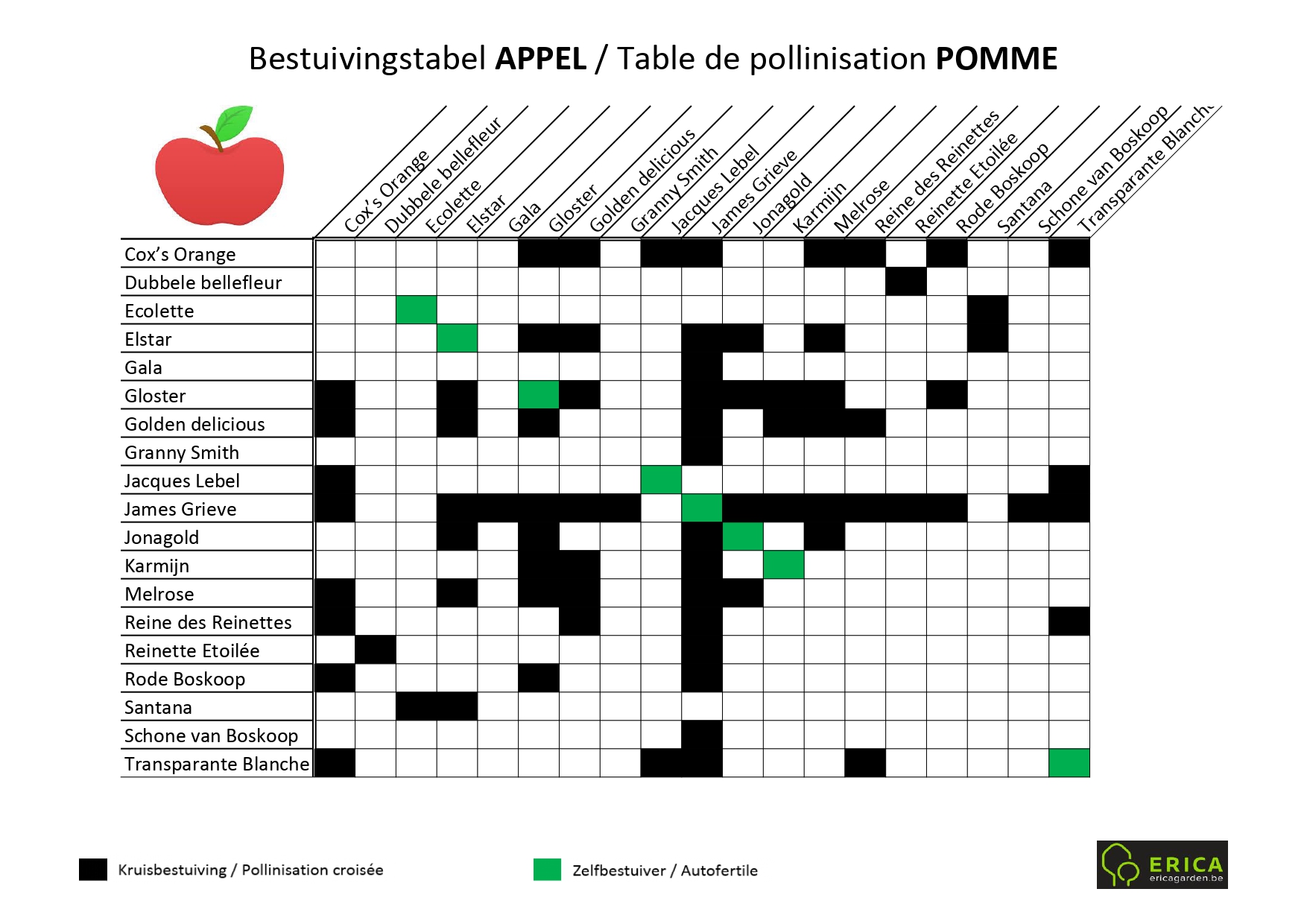 Tableau De Pollinisation Des Arbres Fruitiers www.bomen.be