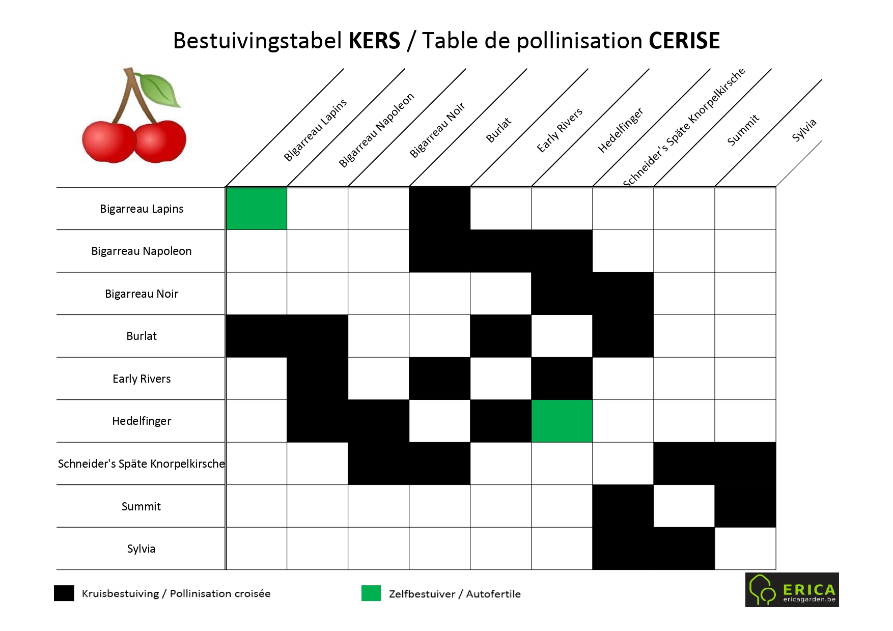 Tableau De Pollinisation Des Arbres Fruitiers