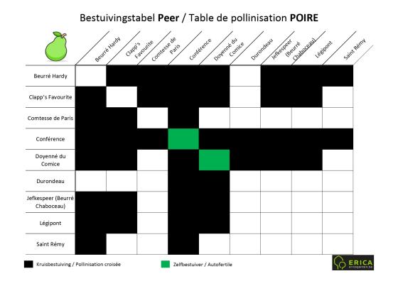 Tableau De Pollinisation Des Arbres Fruitiers www.bomen.be