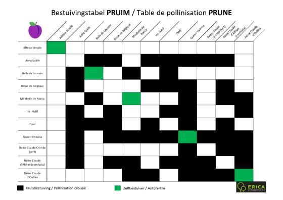 Tableau De Pollinisation Des Arbres Fruitiers www.bomen.be