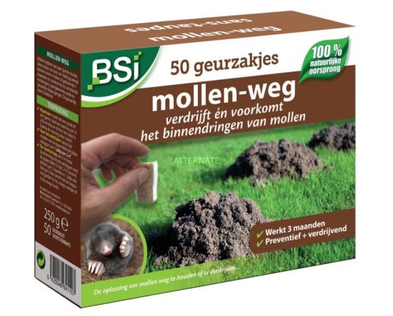 BSI MOLLEN-WEG