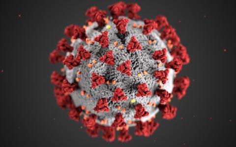 Corona-virus