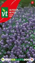 ALYSSUM BLAUW KONINGSTAPIJT