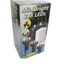 MINIBRIGHT 3 X 8 LED