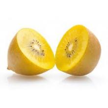 Actinidia deliciosa 'Golden Kiwi' GELE KIWI