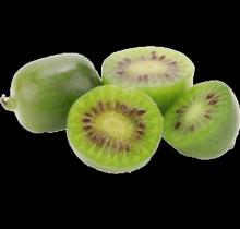 Actinidia arguta 'Prince Jumbo' KIWIBES