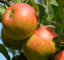 Appel 'SENSATION'