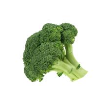 BROCCOLI F1