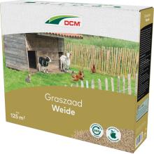 GRASZAAD WEIDE DCM