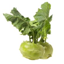KOOLRABI KOOLRABI